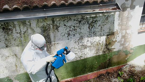 Top rated local Mold Removal specialists in Hartfield, VA